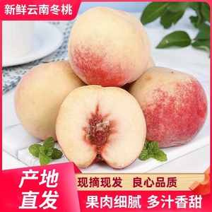 云南大理冬桃脆甜水果蜜桃新鲜现摘高原雪桃精选山桃大果毛桃子包