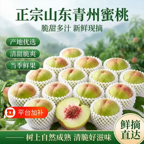 山东青州蜜桃脆嫩鲜甜多汁时令水果桃子当季鲜桃毛桃现摘脆甜直发