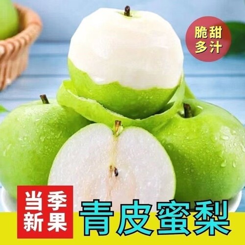 酥脆砀山青梨10斤|千人回购