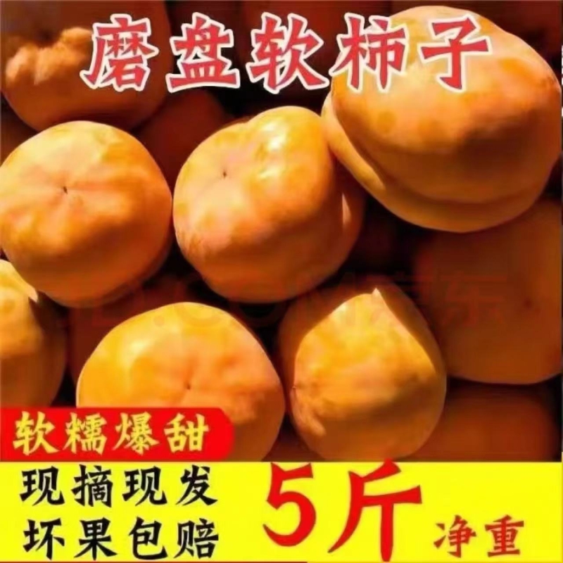 河北柿子沟软柿子盆柿甜柿软蜜非脆柿10软柿子磨盘大果正宗糖心