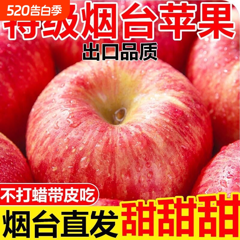山东红富士新果高山老树烟台苹果产地直发酸甜爽脆新鲜现发栖霞
