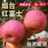 苹果正宗烟台红富士中小果（实惠装）4.5斤