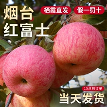 苹果正宗烟台红富士中小果（实惠装）4.5斤