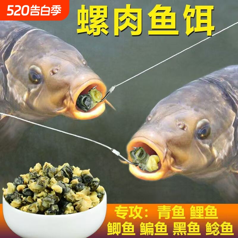 螺肉鱼饵野钓青鱼鲤鱼鲫鱼鲶鱼黑鱼饵料黑坑湖库螺丝肉颗粒钓鱼食