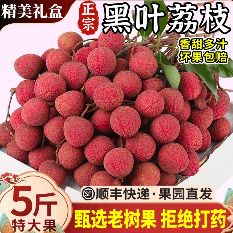 顺丰礼盒 福建黑叶荔枝5斤大果当季现摘现发新鲜水果老树果荔枝甜