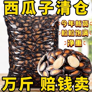 2斤大颗粒美人 新货话梅五香味西瓜子坚果炒货零食黑瓜子批发1