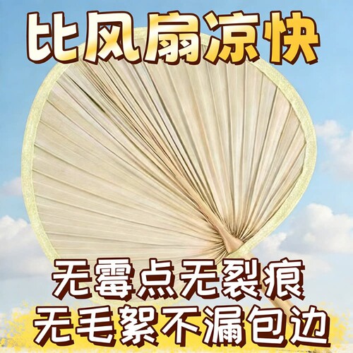 蒲扇扇子老式大蒲扇夏季儿童宝宝竹编夏天手摇手工编织芭蕉古风扇