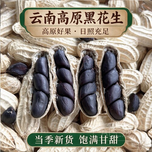 富硒黑花生带壳2026云南普洱特产生熟花生米新货黑皮花生米健康