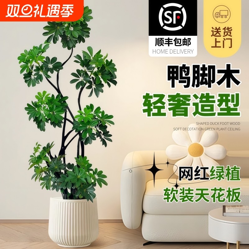 网红造型好养耐活高级感客厅室内大型盆栽四季常青常绿绿植