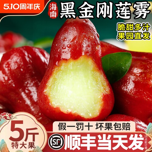 【脆甜多汁】正宗海南黑金刚莲雾