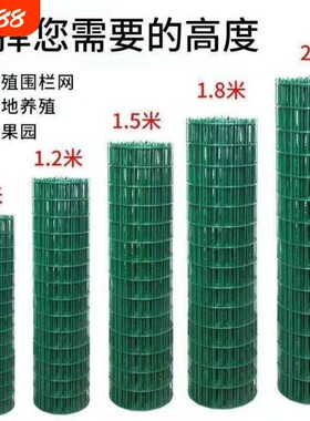 荷兰网铁丝网围栏养鸡隔离护栏网