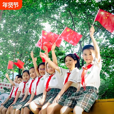 穿好杆小国旗红旗500面批发