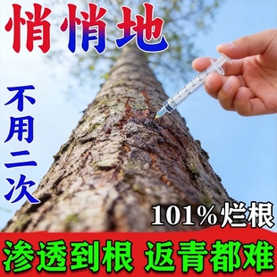 强力大树烂根除大树专用药枯树王腐树根灭杂除芦苇竹子烂根剂