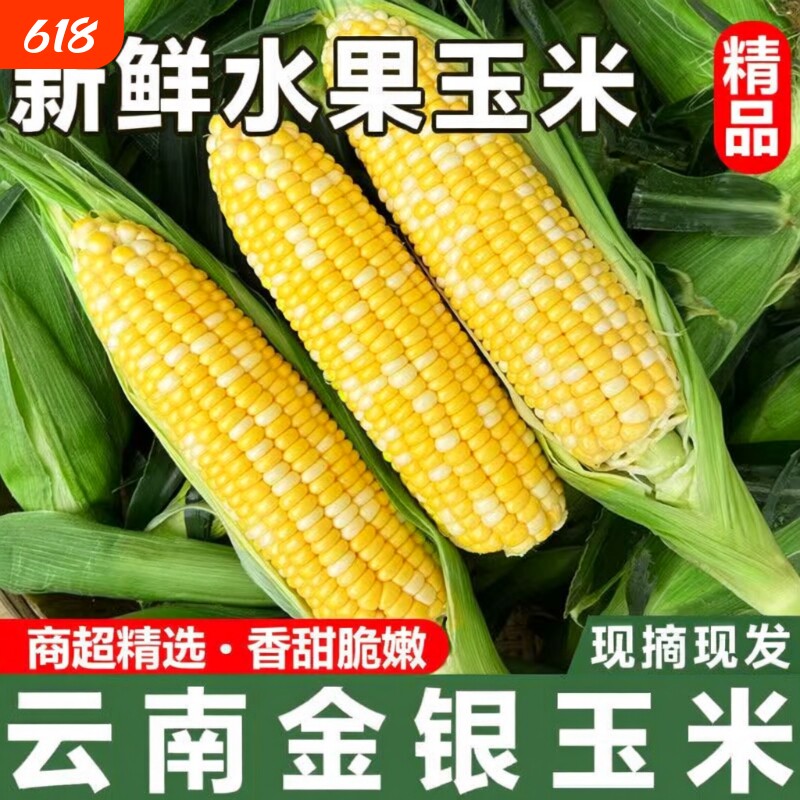 金银双色水果玉米甜脆爆浆云南低脂生吃带壳生熟产地回购带皮现摘