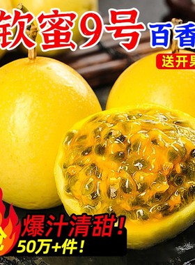 钦蜜9号黄金百香果新鲜水果包邮大果鸡蛋果泡钦密黄金果生鲜纯甜