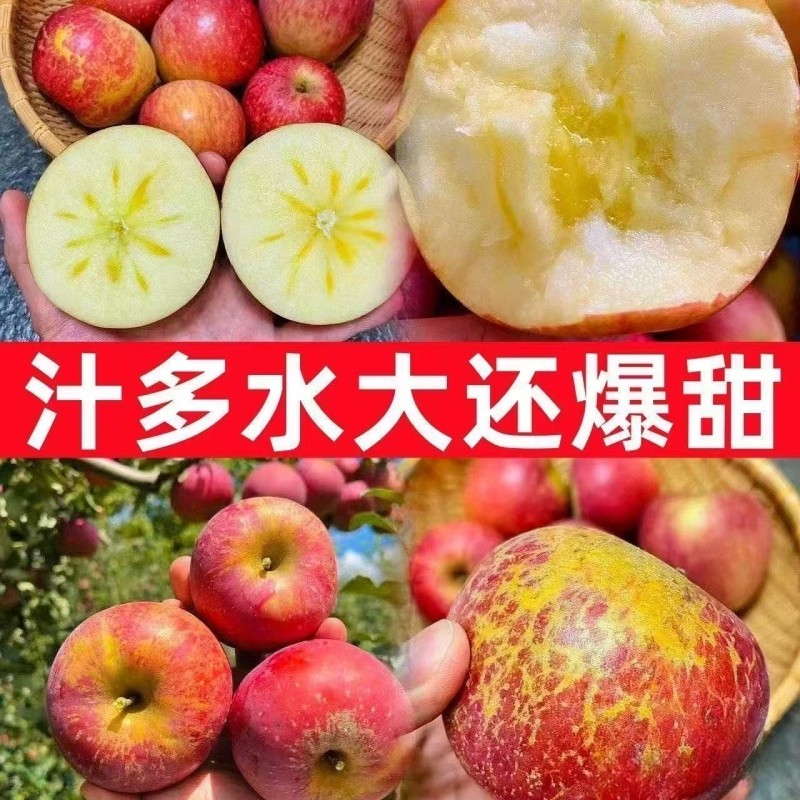 【果园直发】脆甜红富士冰糖心丑苹果正宗高山新鲜苹果一整箱批发