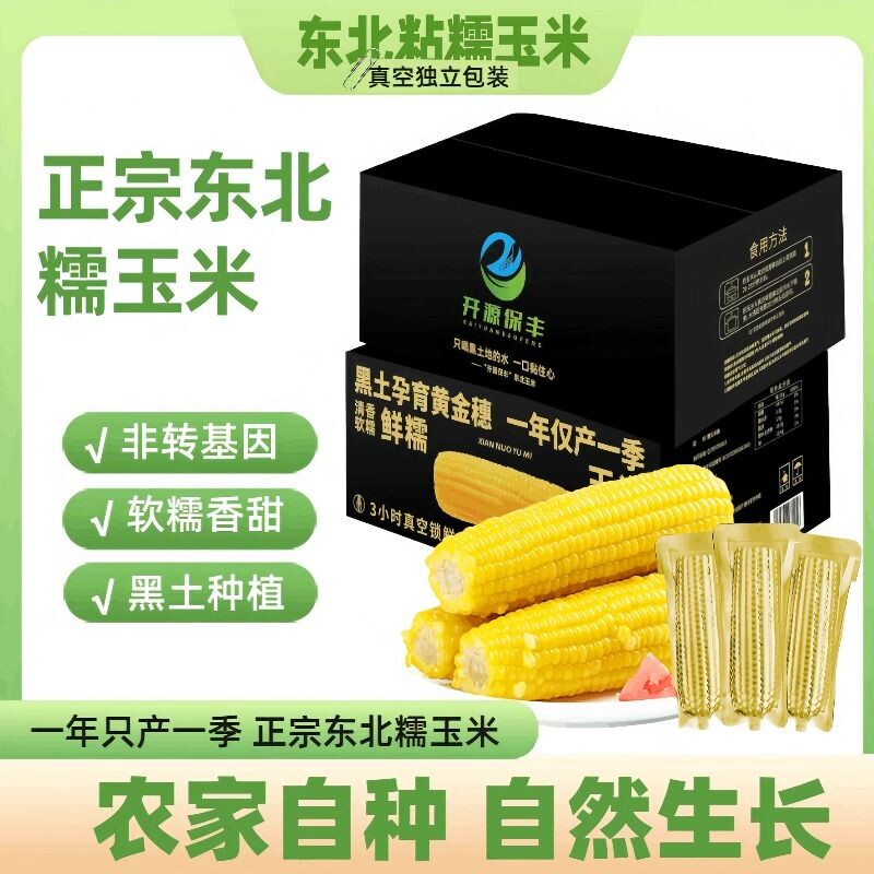 正宗东北黄糯玉米真空包装甜糯玉米加热即食玉米软糯香甜早餐饱腹