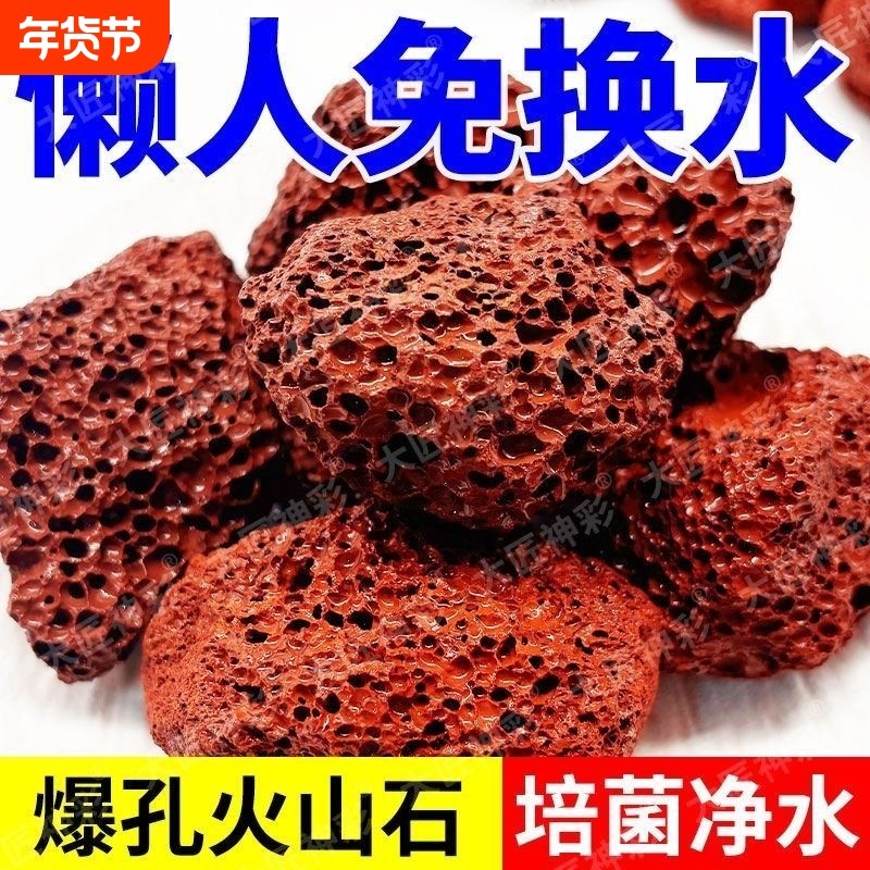 养鱼专用火山石小米鱼缸天然造景底部砂石装饰颗粒滤材溪流海缸,宠物/宠物食品及用品,造景/装饰,淘宝优惠券,粉丝福利购,淘宝优惠卷