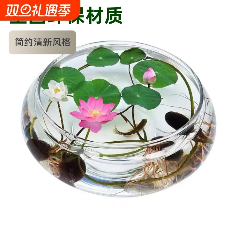 水培玻璃花瓶透明水仙盆碗莲盆睡莲花盆乌龟鱼缸水养植物器皿桌面