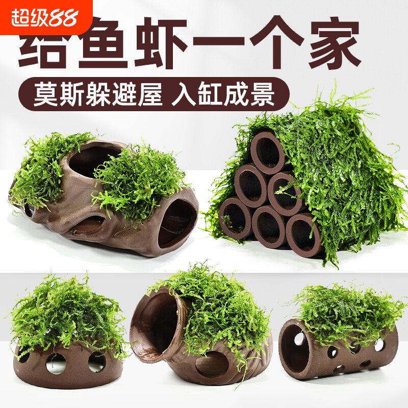 紫砂虾屋鱼缸躲避屋水草植物造景莫斯装饰水榕懒人真草鱼虾水质图片