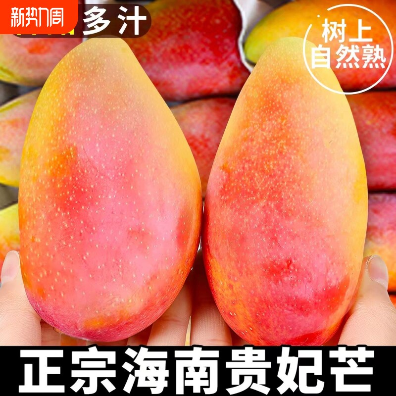 海南贵妃芒现摘现发9斤装新鲜芒果包邮整箱当季热带水果核小5鲜果