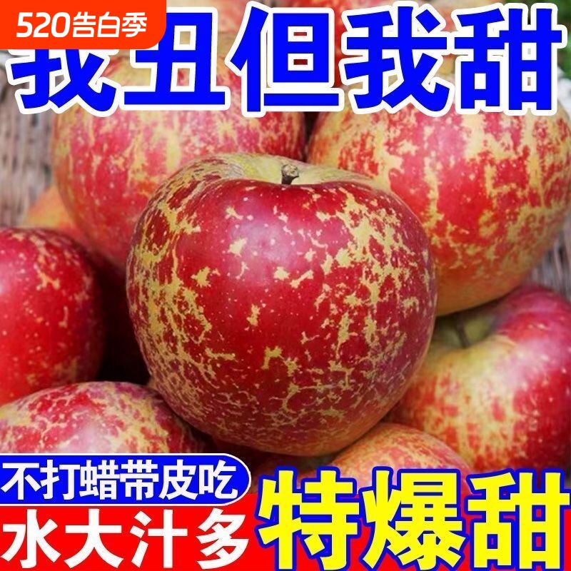 超稀有冰糖心苹果 丑苹果新鲜现摘红富士脆甜苹果一整箱批发价