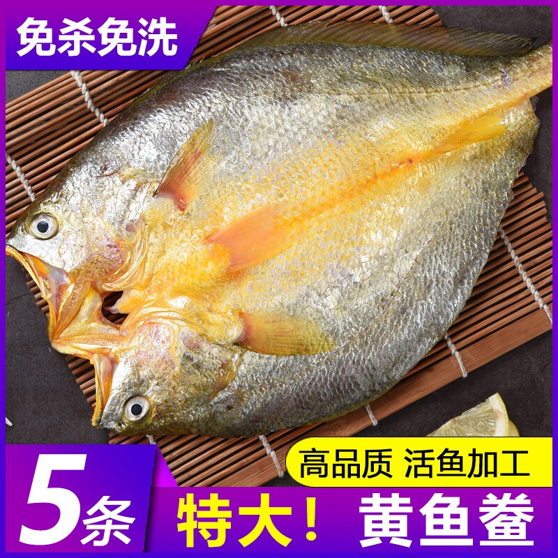 福建宁德霞浦黄鱼鲞干货新鲜黄花鱼大黄鱼三去小黄鱼海鱼冷冻水产图片