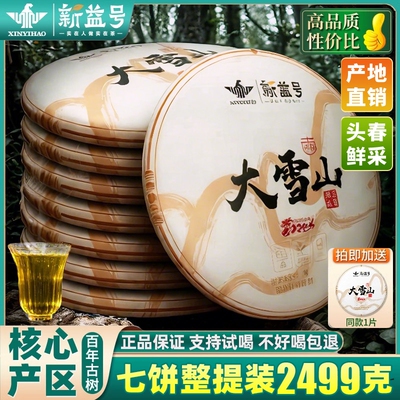 7饼云南2499克大雪山古200早春古树纯料普洱茶生茶整提七子饼茶叶