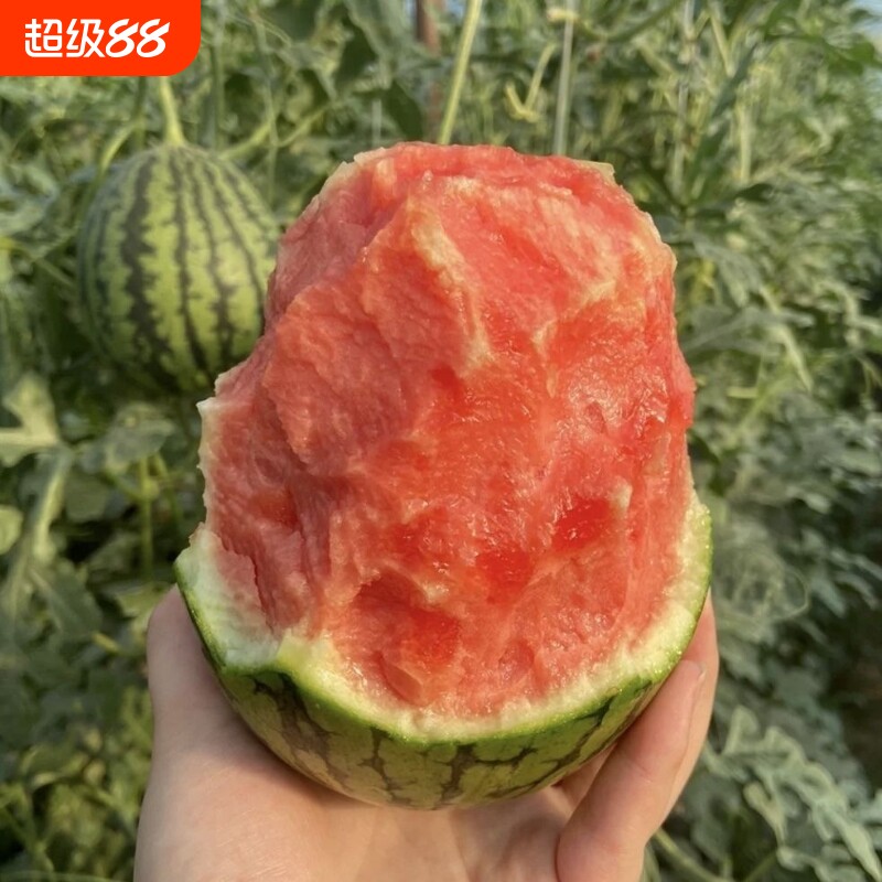 ��˺����С����С�������ļ���̨����СԺ�����ļ��紺�������� 2�� 11.47Ԫ