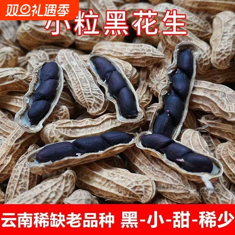 云南富硒黑花生带壳2025年新货晒干特产黑皮花生米老品种七彩