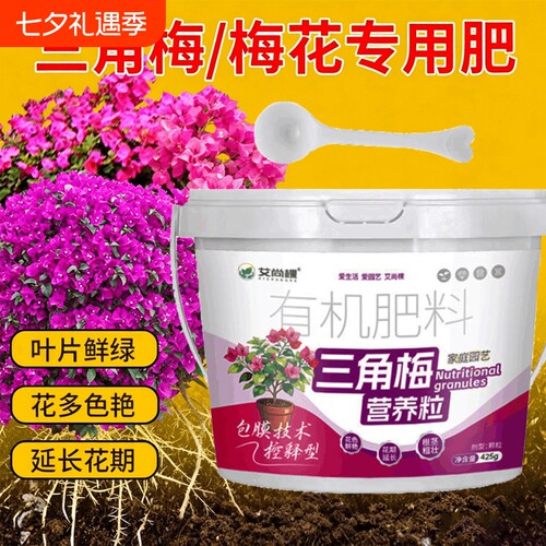【800人收藏】三角梅开花营养液