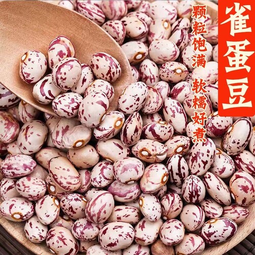 云南雀蛋豆饭豆新鲜四季豆花生豆农家新豆老式干货批发农家自种