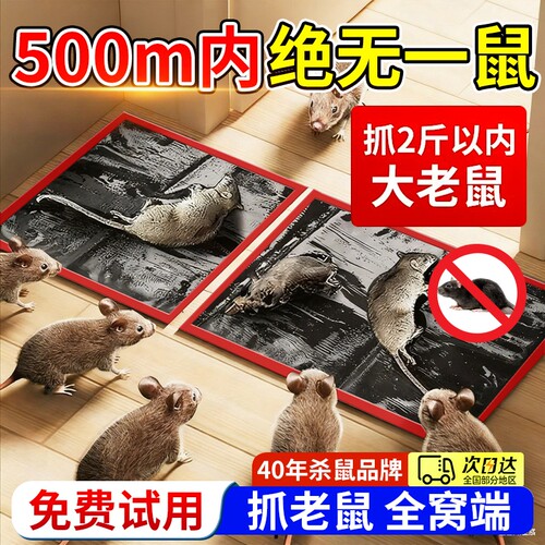 老鼠粘强力粘鼠板捉粘大老鼠贴沾胶抓超强灭鼠家用捕鼠神器老鼠