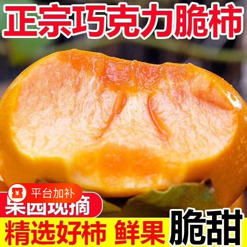 巧克力脆柿子新鲜当季水果整箱冰糖心黄甜硬柿子火晶特产包邮