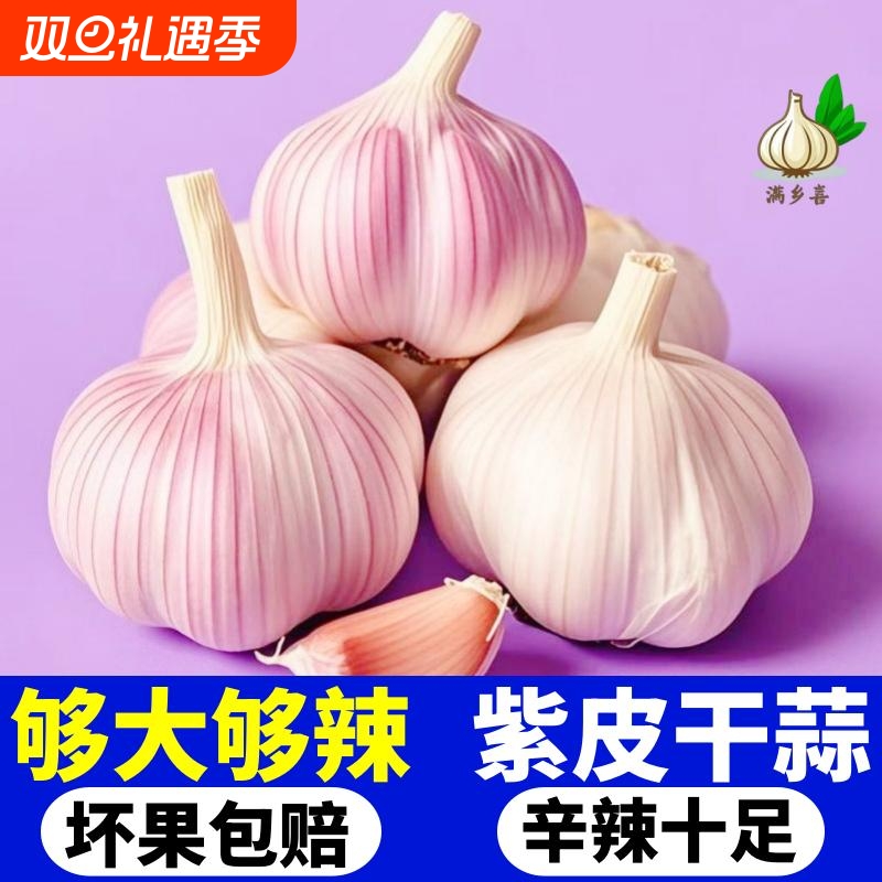 【批发价】山东农家干大蒜紫皮特大蒜王新鲜蒜头便宜批发特级干蒜