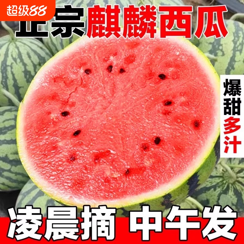 正宗麒麟西瓜当季薄皮手剥新鲜水果8424美都西瓜冰糖清甜多汁薄皮