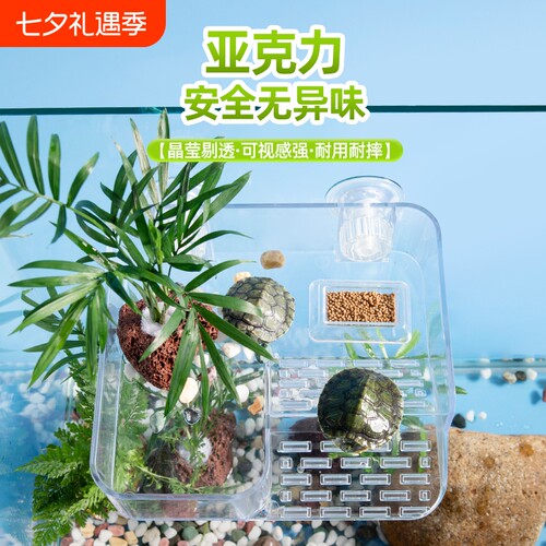 乌龟晒台爬坡晒背台吸盘式悬浮龟缸造景浮岛固定套餐高水位攀爬