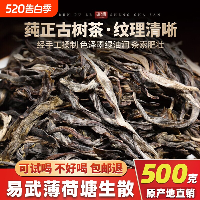 易武普洱茶生茶正宗薄荷塘头春新茶云南古树生普口粮散茶叶自己喝