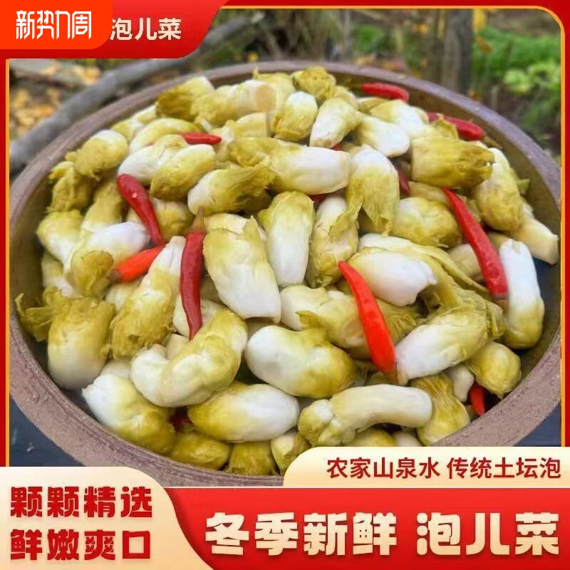 四川老坛母水泡儿菜农家手工自制泡酸萝卜娃娃菜豆角大蒜什锦泡菜