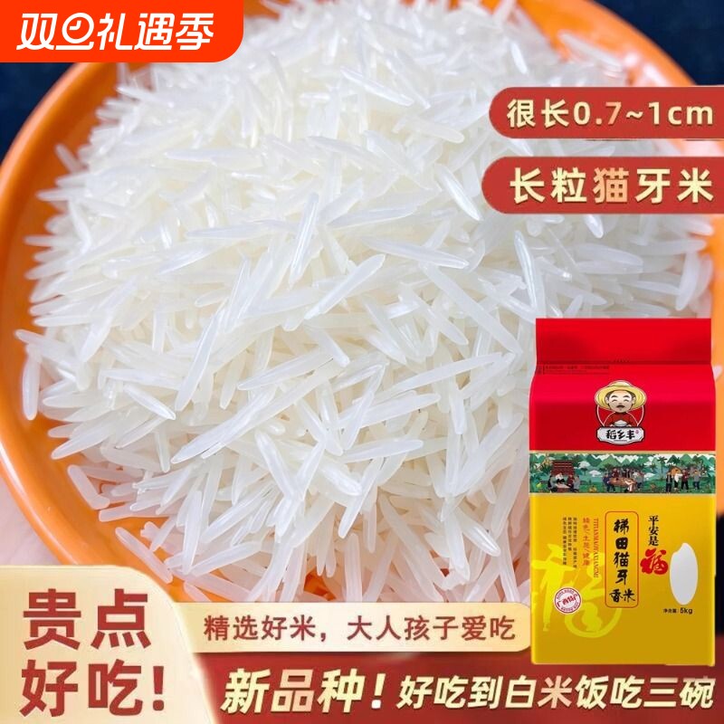 自主2025年猫牙新大米广西超长一级象牙香米晚稻籼米梯田长粒生态