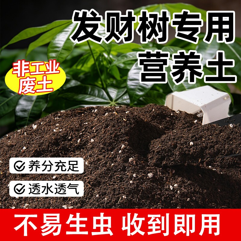 发财树专用土花土绿植种植土肥料专用肥土家用盆栽壤园艺营养土壤