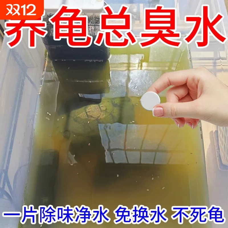 净水不伤龟乌龟水质净化剂安全