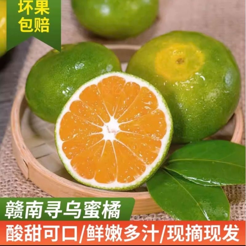 正宗江西赣南蜜桔寻乌蜜桔青皮薄酸甜桔子无籽蜜橘子新鲜孕妇水果
