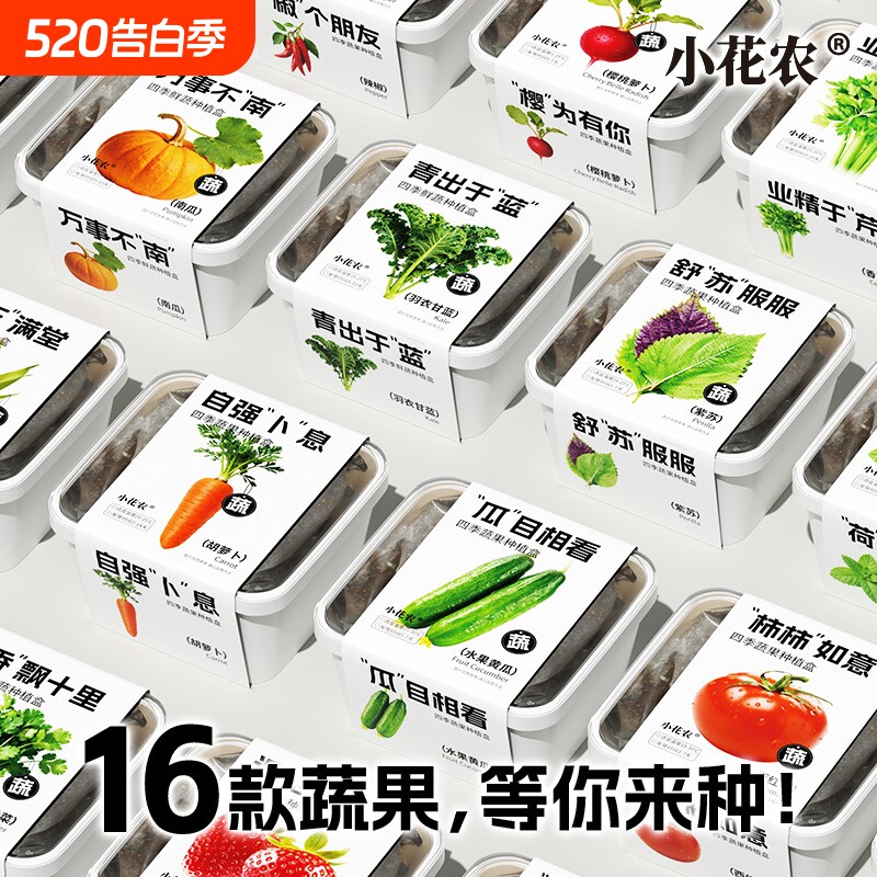 小花农四季蔬果情绪种植盒西红柿学生幼儿园教培机构推荐草莓发芽
