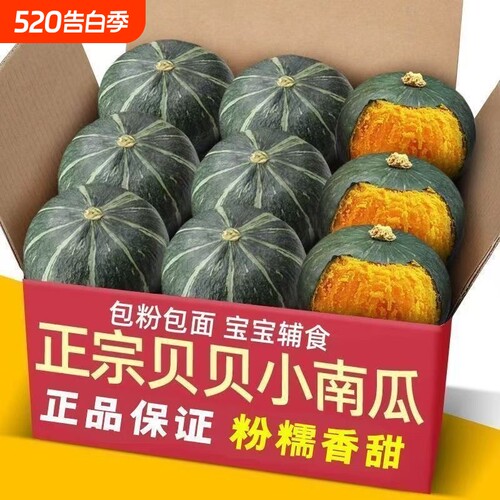 【超好吃】贝贝南瓜板栗味山东正宗小南瓜健康孕妇宝宝辅食5斤装