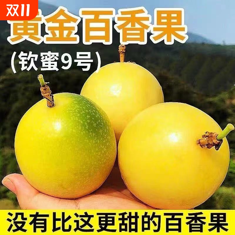 广西正宗钦蜜9号黄金百香果当季新鲜水果香甜多汁整箱批发