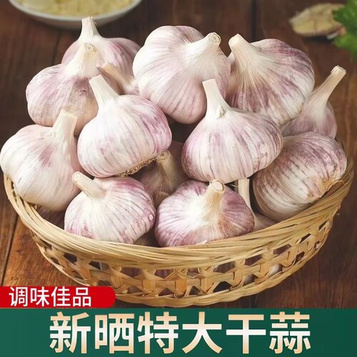 多瓣蒜干大蒜头杞县农家大蒜直发