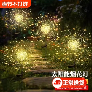 太阳能蒲公英氛围灯户外庭院家用花园网红小院布置装饰草坪烟花灯