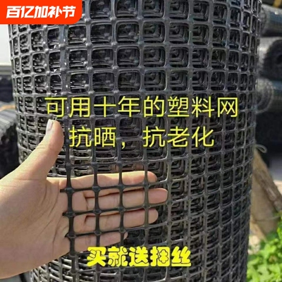 塑料网养鸡鸭围栏网菜地果园防护
