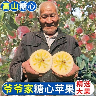 四川冰糖心红富士野生丑苹果当季 新鲜水果脆甜多汁现摘现发